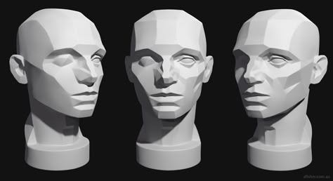 Head Planes Drawing, Planes Of The Head, Asaro Head, John Asaro, Draw Head, Head Studies, Planes Of The Face, Human Anatomy Reference, Head Reference