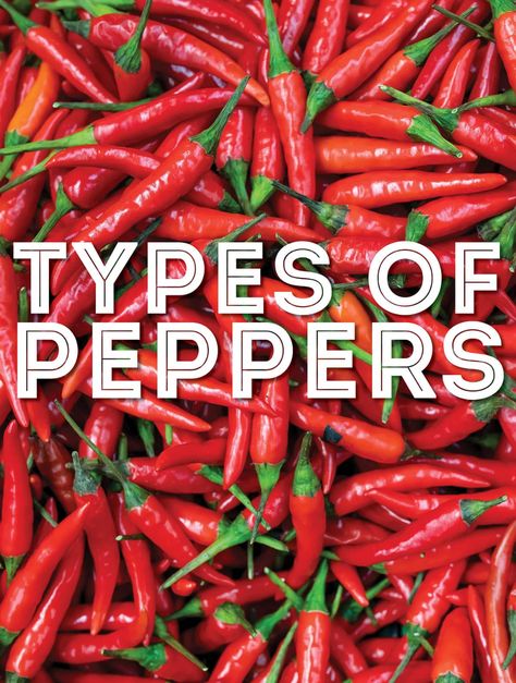 Yellow Chili Peppers, Datil Pepper, Hot Peppers Plants, Pepper Varieties, Types Of Seeds, Types Of Rice, Olive Oil Skin, Mexican Chili, Types Of Peppers