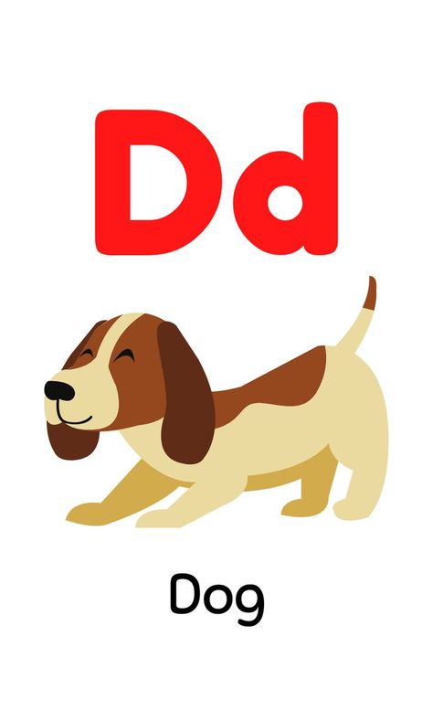 A To Z Flashcards D Is For Dog Preschool, A To Z Pictures, Letter D Pictures For Preschool, Letter D Flashcards, Alphabet Flashcards A To Z, Dog Flashcard, Flashcard Alphabet, Alphabet Word Wall Cards, D For Dog