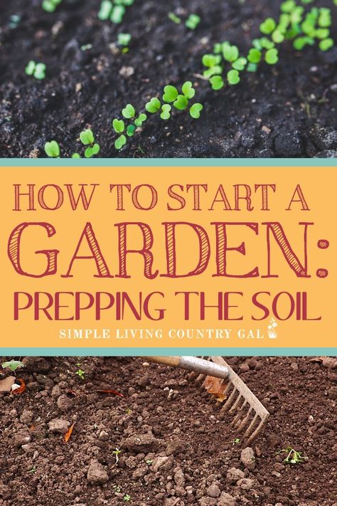 Garden Diy Hacks, Start A Garden, Garden Wallpaper, Garden Hacks, Starting A Garden, Backyard Gardening, Gardening Hacks, Home Vegetable Garden, Homestead Survival