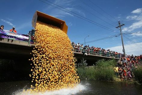 Rubber Duck Race Fundraiser | GAME Fundraising Duck Race Fundraiser, Rubber Duck Race, Duck Race, Fundraising Games, Olympic Party, Lions Club, Event Planning Design, Non Profit Organization, Fundraising Events