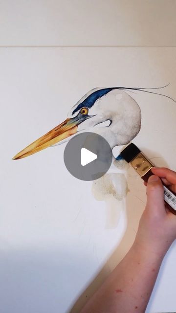 Watercolor Birds Tutorial, Heron Watercolor, Bio Materials, Daniel Smith Watercolor, Bird Watercolor Art, Watercolour Bird, Brush Techniques, Bird Painting Acrylic, Heron Art