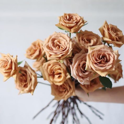 toffee rose Toffee Rose, Flower Types, Rose Varieties, Shade Flowers, Neutral Wedding, Beautiful Bouquet Of Flowers, Floral Inspiration, Blush Wedding, Types Of Flowers