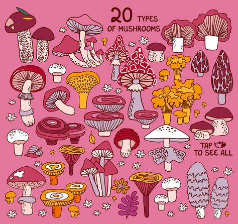 MUSHROOMS | graphics set on Behance Mushroom Vector Illustrations, Mushroom Design Art, Posca Mushroom, Mushroom Widget, Cute Mushroom Drawing, Embroidery Mushrooms, Funky Mushrooms, Mushroom Doodle, Mushroom Patterns