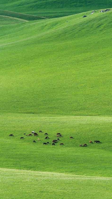 March Scenery, Profile Picture Nature, Green Field Aesthetic, Hills Photography, Foto Newborn, Alam Yang Indah, Landscape Wallpaper, Nature Aesthetic, Beautiful Nature Scenes