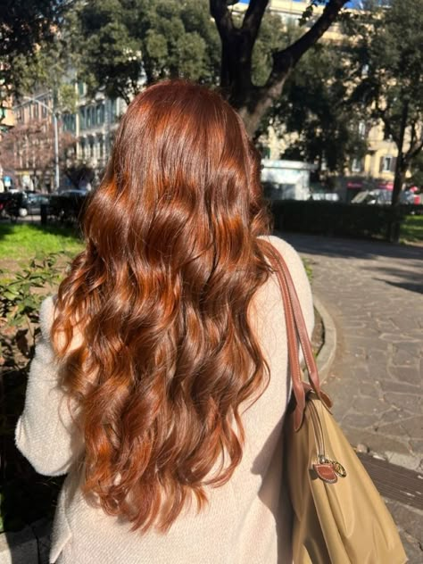 Cinnamon Hair Aesthetic, Ginger Head Aesthetic, Henna Ginger Hair, Ginger Caramel Hair, Cinnamon Ginger Hair, Caramel Ginger Hair, Deep Ginger Hair, Ginger Long Hair, Brown Ginger Hair