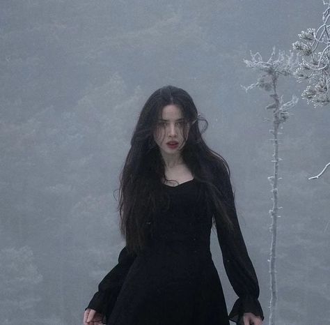 Goth Academia, One Dark Window, Dark Window, Vampire Pictures, Dark Princess, Snow Pictures, Gothic Girls, Dark Photography, The Dawn