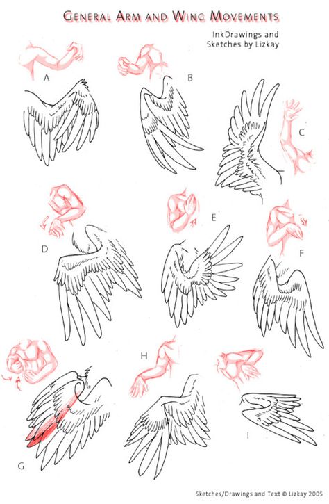 Drawing tutorial - arms and wings repinned by www.BlickeDeeler.de Wing Drawing, رسم كاريكاتير, Tutorial Drawing, Wings Drawing, Drawing Hands, Drawing Eyes, Drawing Hair, Cross Hatching, Art Help