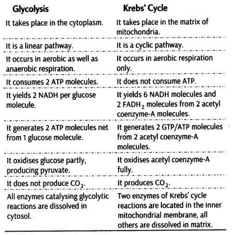 Respiration In Plants, Class 11 Biology Notes, Cell Biology Notes, Class 11 Notes, Class 11 Biology, Notes Biology, Biochemistry Notes, Neet Notes, Learn Biology