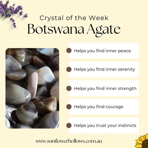 The crystal of the week is 🥁 BOTSWANA AGATE 🌻 Botswana Agate is said to 🌻 Help you find inner peace and serenity 🌻 Help you find inner strength and courage 🌻 Help you trust your instincts Among other things. This stone is named after the country in Southern Africa where it is mined. Botswana Agate is associated with the root chakra. Follow the link in our bio to find these on sunflowerhollows.com.au #brisbanecrystalshop #australiancrystalshop #crystalsforsaleaustralia #aussiecrystalb... Botswana Agate Crystal Meaning, Botswana Agate Meaning, Crystal Magick, The Root Chakra, Agate Meaning, Peace And Serenity, Metaphysical Shop, Find Inner Peace, Trust Your Instincts