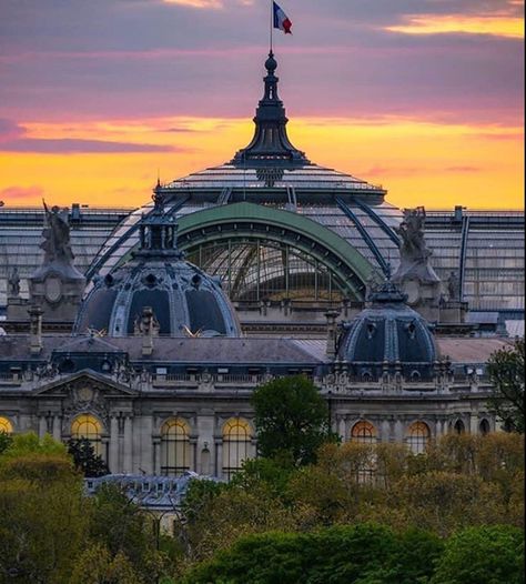 Grand Palais Paris, Inside And Outside, Grand Palais, Taj Mahal, Instagram Profile, The Outsiders, Paris, House Styles, Building