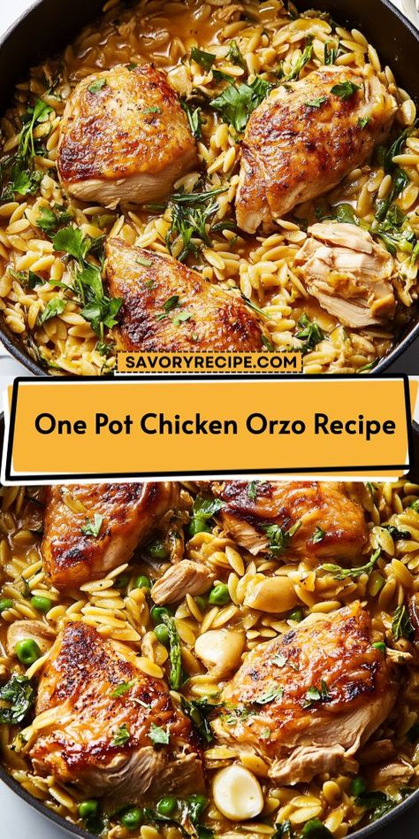 Want to impress your family with a delightful Mediterranean dinner? This One Pot Chicken Orzo Recipe is not only tasty but also incredibly easy to make. With minimal cleanup, it’s perfect for busy nights. Be sure to save this recipe for a quick and flavorful meal option! Chicken And Mushroom Orzo, Mushroom Orzo, Creamy Orzo, Chicken Mushrooms, Chicken And Mushroom, Orzo Recipes, Chicken Mushroom, One Pot Chicken, One Skillet