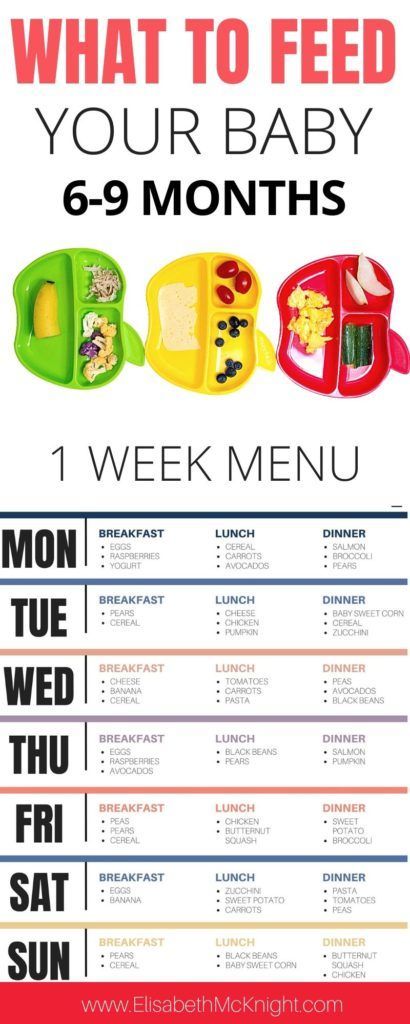 Baby First Foods 6 Months, 9 Month Old Food Ideas Meals, Solid Starts, Baby Food Guide, Baby Meal Plan, Baby Food Schedule, Baby Nutrition, 6 Month Baby Food, Baby Led Weaning First Foods