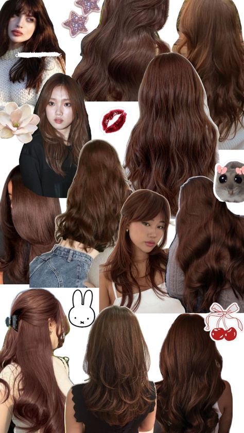 Chococolate Copper Cinnamon Honey Brown Hair Dye Inspo Hair Color Ideas For Filipina Skin, Hair Color Cinnamon Brown, Korean Copper Brown Hair, Dark Tone Hair Color, Light Brown Mocha Hair Color, Medium Light Skin Tone Hair Color, Cinnamon Brown Hair Colour, Copper Dye On Brown Hair, Brown Hair Ideas Color