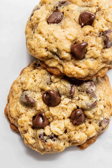 Sourdough oatmeal cookies chocolate chips Oatmeal Choc Chip Cookies, Gluten Free Oatmeal Chocolate Chip, Discard Sourdough Recipes, Oatmeal Peanut Butter Chocolate Chip, Sourdough Oatmeal, Easy Lemon Drizzle Cake, Gluten Free Oatmeal Chocolate Chip Cookies, Oatmeal Chocolate Chip Cookie Bars, Chocolate Oat Cookies