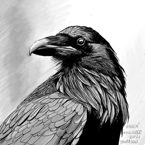 Simple Raven Drawing, Crow Coloring Page, Crow Sculpture, Crow Portrait, Raven Drawing, Professor Aesthetic, Hatch Drawing, Rabe Tattoo, Crows Drawing