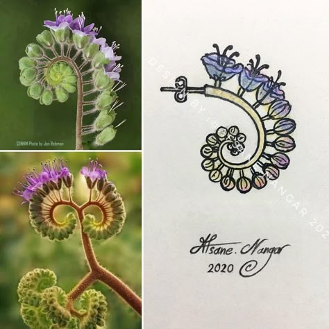 Afsane Nangar on Instagram: “My jewelry designs : ( nature series ) *earrings* 2020 🌿🌱🌸 #render #jewelry #design #rendering #jewellery #jewelrydesign #designer…” Flower Inspired Jewellery, Jewellery Motifs, Jewelry Design Sketch, Jewellery Sketching, Nature Jewellery, Sketch Jewelry, Accessories Design Sketch, Jewellery Sketch, Jewellery Designing