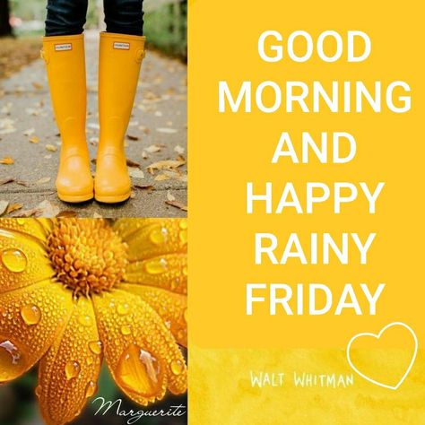 Happy Rainy Day, Happy Rainy Friday, Rainy Friday, Caption For Rainy Day Pic, Happy Rainy Friday Good Morning, Rainy Autumn Day Quotes, Good Morning With Rainy Picture, Rainy Day Meme Funny, Happy Friday Quotes