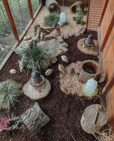 Quail Pens On The Ground, Quail Coops Ideas, Plants For Quail Pen, Quail Hideout, Cute Quail Coop, Outdoor Quail Enclosure, Quail Set Up, Quail Habitat Diy, Quail Coop Ideas Diy Outdoor