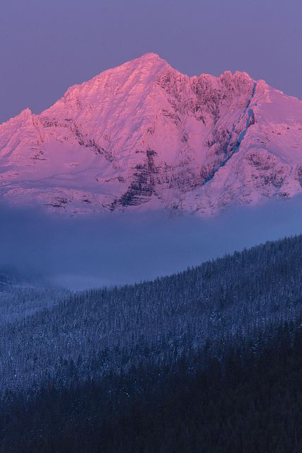 Gunsight Mountain Sunset | NPS / Jacob W. Frank | GlacierNPS | Flickr Sunset Mountains, Lake Mcdonald, Mountain Wallpaper, Mountain Sunset, Pink Sunset, Mountain Art, Glacier National, Glacier National Park, Public Domain Images