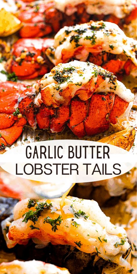 Traeger Lobster Tails, Lobster Tale Recipe, Best Way To Cook Frozen Lobster Tails, Lobster Recipes Baked, Maine Lobster Recipes, Florida Lobster Tail Recipes, Oven Baked Lobster Tail Garlic Butter, Grilled Lobster Tails With Herb Butter, How To Cook Fresh Lobster Tails