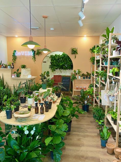 Selling Plants On Etsy, Boutique Plant Shop, Indoor Plant Store Ideas, Book And Plant Store, Inside Flower Shop, House Plant Shop, Plant Boutique Ideas, Plant Store Design, Retail Plant Display Ideas