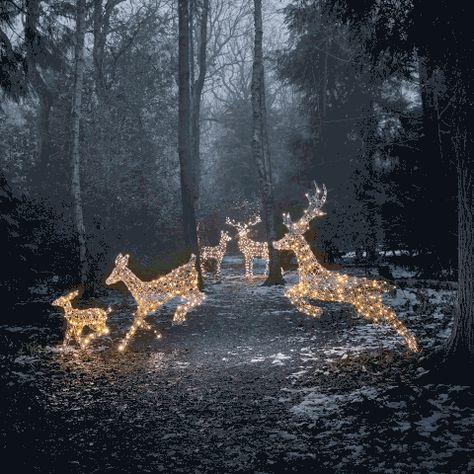 Reindeer Figure, Christmas Outdoors, Stag And Doe, Dark Christmas, Ultimate Christmas, Christmas Yard, Christmas Garden, Christmas Outdoor, Outdoor Christmas Lights