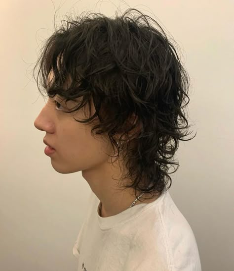 Male Shag Mullet, 70s Hairstyles Men Long, Mens Shaggy Mullet, Men's Wolfcut, Men’s Wolf Cut Hair, Overgrown Buzzcut Men, Curly Shag Haircut Men, Curly Hair Wolf Cut Men, Wolfcut Mullet Male