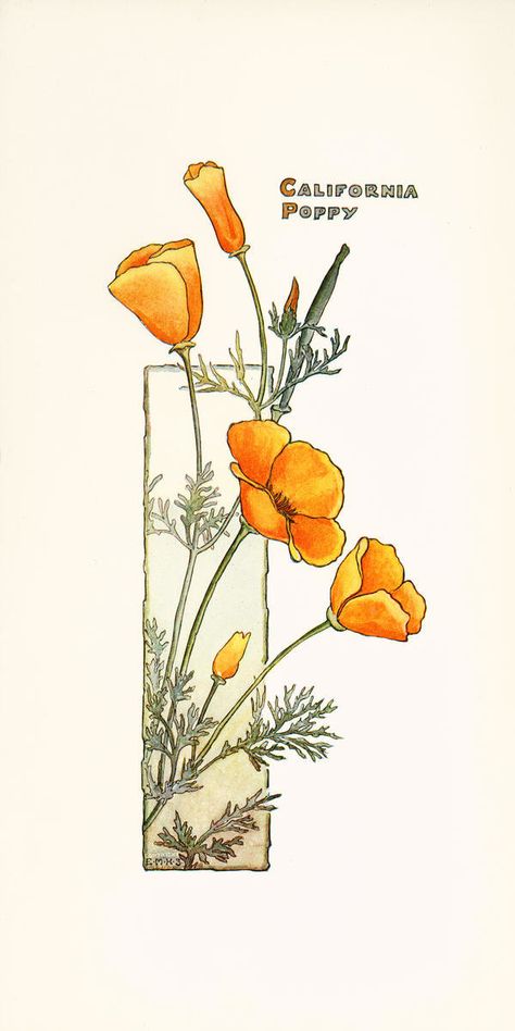 California Poppy Art, Fleurs Art Nouveau, Arte Art Deco, Poppy Drawing, Huntington Library, California Poppies, Beautiful California, Poppies Tattoo, Library Art