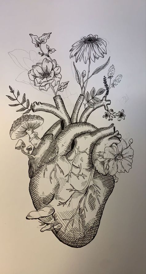 Anatomical Heart Drawing, Human Heart Drawing, Anatomical Heart Art, Sketchbook Artist, Nature Art Drawings, Portraits Of People, Heart Drawing, S Heart, Mini Drawings