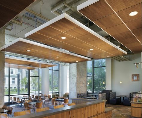 flat floating wood ceiling panels with view of ceiling above Wood Ceiling Panels, Floating Ceiling, Architecture Ceiling, Ceilings Design, Office Ceiling, Armstrong Ceiling, Acoustic Ceiling, Office Corporate, Open Ceiling