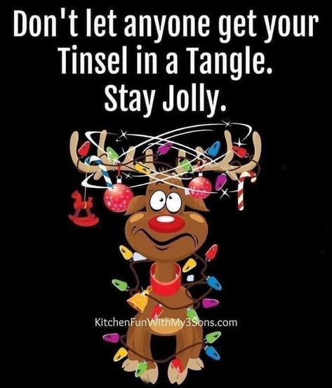 Christmas Quotes For Friends, Christmas Critters, Farm Vintage, Funny Day Quotes, Merry Christmas Pictures, Christmas Jokes, Christmas Memes, Kitchen Fun, Merry Christmas Images