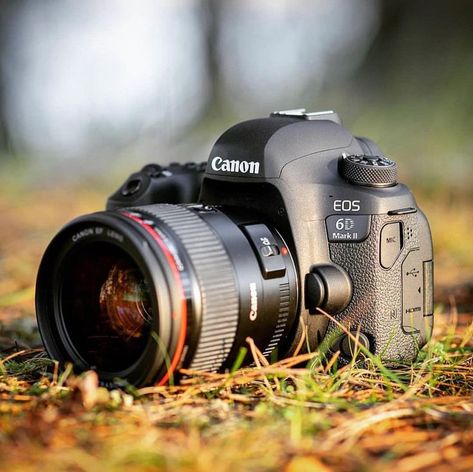 Cannon Camera, Kamera Dslr, Nikon D5000, Canon Dslr Camera, Camera Wallpaper, Best Dslr, Infrared Photography, Perspective Photography, Photography Reviews