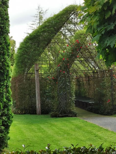 Gallery — TreeChurch Garden Of Cosmic Speculation, Canopy Walkway, Tree Arch, Wagon Ideas, Yew Tree, Flower Shop Design, Willow House, Garden Arches, Tree Canopy