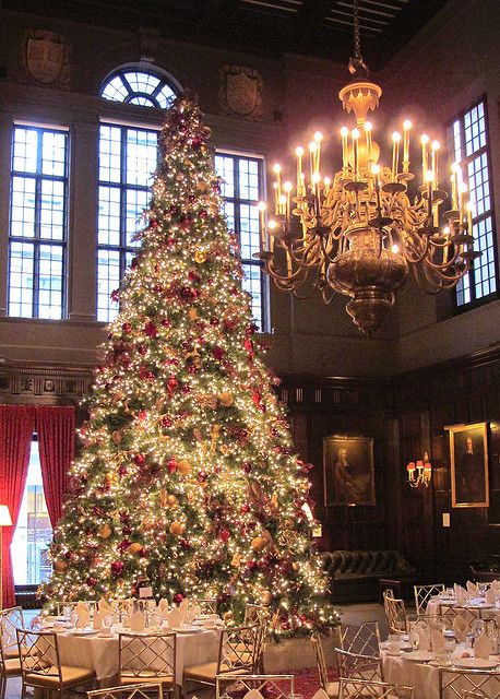 Christmas at the Harvard Club, NYC Beautiful Christmas Trees, Noel Christmas, Elegant Christmas, Christmas Love, Christmas Aesthetic, Christmas Joy, Christmas Inspiration, Christmas Wedding, Christmas Cheer