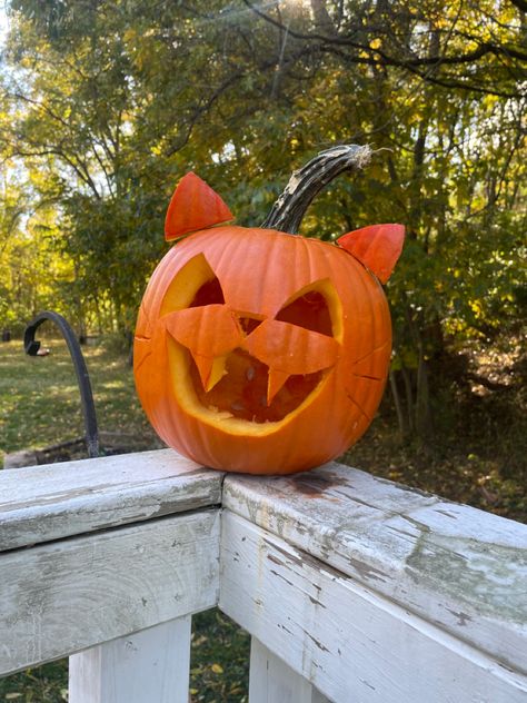 pumpkin carving of cat Pumpkin Carving Moo Deng, Scary Cat Pumpkin Carving, Jack O Lantern Inspiration, Jack O Latern Idea, Cat Jackolantern Faces, Cat Pumkins Ideas Carving, Pumpkin Carving Ideas Cat Easy, Cat Pumpkins Carvings, Pumpkin Cat Carving Ideas