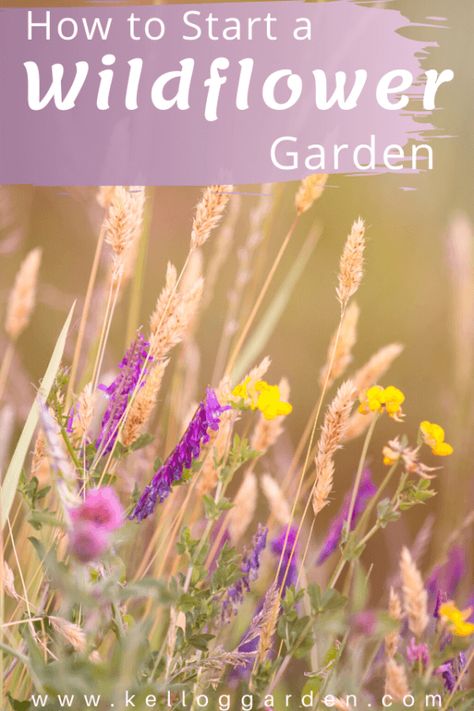 How To Make A Wildflower Garden, How To Start A Wildflower Garden, Wildflower Garden Ideas, Family Graveyard, Planting Wildflowers, Garden Wild Flowers, Wildflower Gardens, Farm Landscaping, Wild Flower Garden