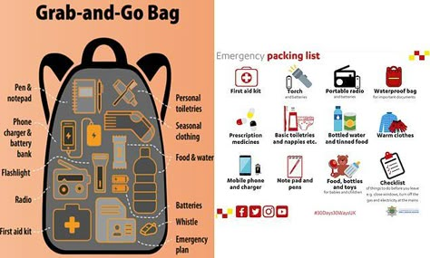 Go Bag Checklist, Go Bag Ideas, Emergency House Kit, Car Go Bag, Emergency Grab Bag, Grab And Go Bag Survival, Grab Bag, Emergency Go Bag Checklist, Emergency Bag List