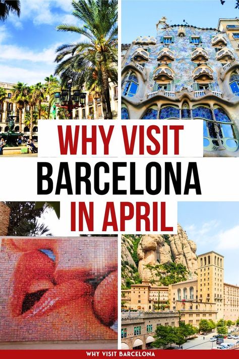 Planning a trip to Barcelona in April? April is one of my favourite times of the year, and one of the best times to visit Barcelona. Discover why you should visit Barcelona in April, what to expect from April weather in Barcelona, what to wear, where to stay and the best things to do in Barcelona in April, as well as everything else you might need to enjoy your Barcelona trip! Barcelona Travel Tips | Barcelona Spring Activities | Europe Easter Vacation | Barcelona When To Go #travel #spain Barcelona In One Day, One Week In Barcelona, 48 Hours In Barcelona, What To Do In Barcelona, Barcelona Spring, Easter Vacation, Trips From Barcelona, April Weather, Barcelona Off The Beaten Path