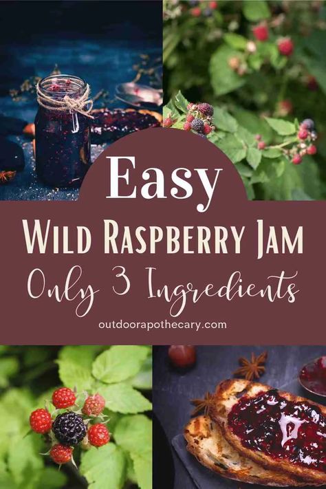 Wild Black Raspberry Jam Raspberry Jam Recipe No Pectin, Black Raspberry Jelly Recipe, Black Raspberry Jam Recipe, Raspberry Jelly Recipe, Black Raspberry Recipes, Black Raspberry Jam, Outdoor Apothecary, Raspberry Freezer Jam, Raspberry Jam Recipe