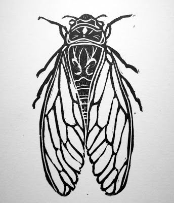 Simple Insect Drawing, Simple Cicada Drawing, Insect Wings Drawing, June Bug Drawing, Cicada Line Art, Bug Block Print, Cicada Linocut, Bug Drawing Insects, Bug Linocut