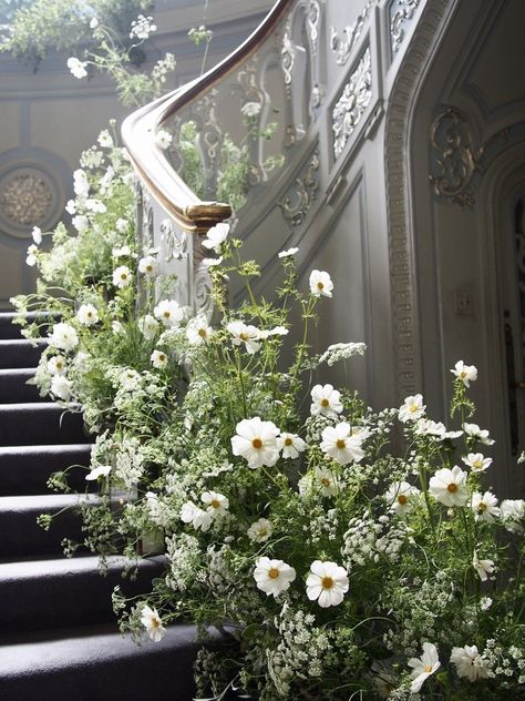 Home — JamJar Flowers Wedding Staircase, Katie White, White Cosmo, Flower Installation, Ceremony Flowers, Wedding Mood Board, Wedding Mood, Green Wedding, Garden Wedding