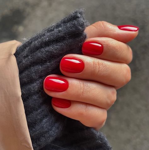 Posted by Zoe Scott. #rednail #rednaildesign. Hey there, nail enthusiasts! Get ready to embrace the bold and beautiful world of Short Red Nails – a timeless trend that's all about making a stateme... Funky Christmas Nails Short, Bright Red Nails Christmas, Red Nails December, Christmas Red Nails Short, December Short Nail Ideas, Red Holiday Nails Square, Short Red Holiday Nails, Red Classic Nails, December Red Nails