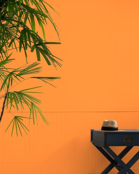 New Dawn 133 | Benjamin Moore House Paint Outside, Jewel Tone Paint, Jewel Tone Paint Colors, Orange Room Decor, Small Hallway Decorating, Moody Library, Orange Cabinets, Paint Color Swatches, Orange Paint Colors