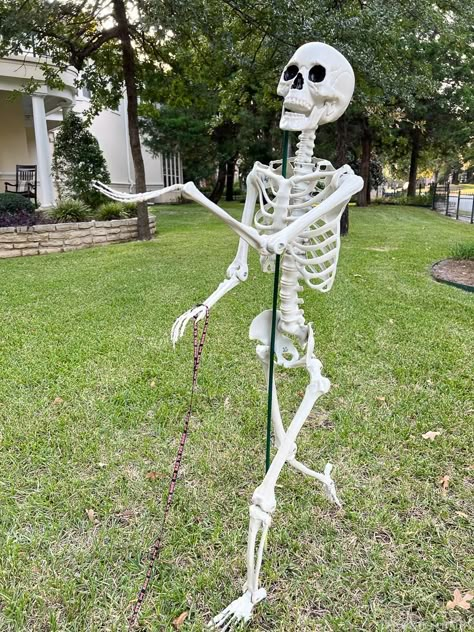 Halloween Front Yard Skeletons, How To Decorate A Skeleton For Halloween, Skeleton Bones Halloween Decorations, Ideas For Skeleton Decorations, Skeleton Stand Diy, Best Skeleton Displays, How To Get Skeletons To Stand, Decorating Yard With Skeletons, Skeleton In Front Yard