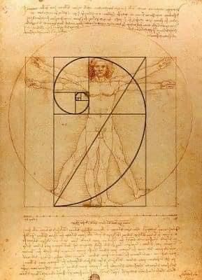 Golden Ratio Art, Fibonacci Art, Golden Proportion, Da Vinci Vitruvian Man, Golden Rectangle, Fibonacci Golden Ratio, Golden Section, Golden Mean, The Golden Mean