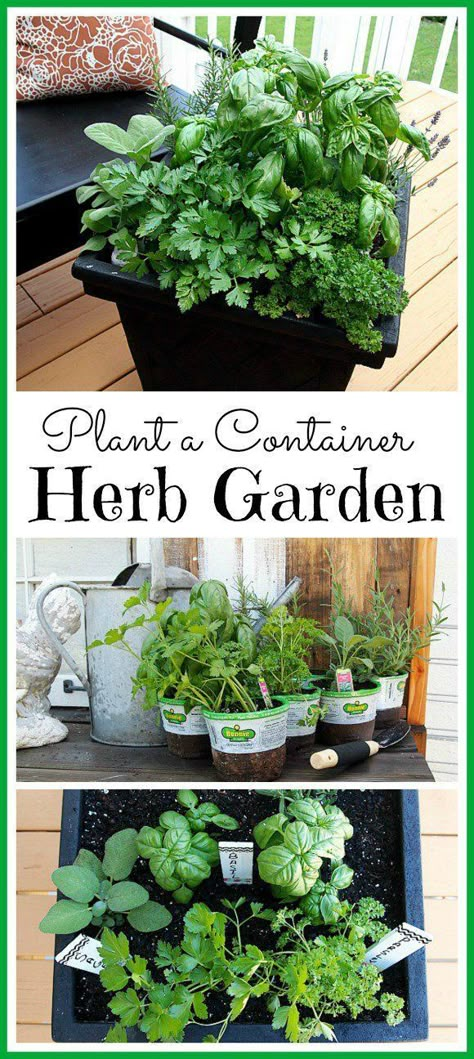 Container Herb Garden, Herb Containers, Vertical Herb Garden, Herb Gardens, Herb Gardening, Herbs Indoors, Landscaping Tips, Deck Garden, Gardening Plants