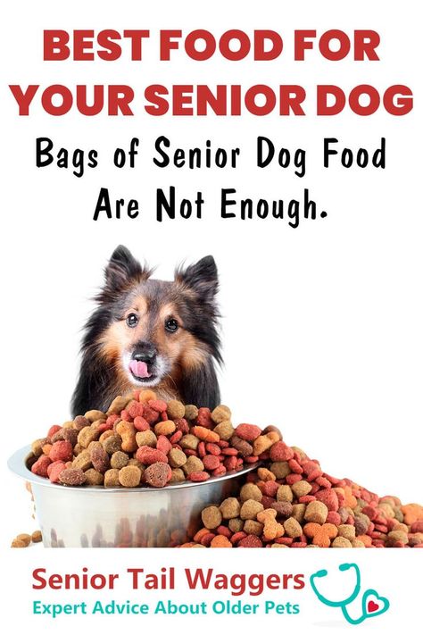 Senior dog nutrition is an important part of keeping our older dogs healthy and happy. But simply buying a bag of ‘Senior Dog Food’ won’t cut it! To keep your older dog in tip-top shape and to make sure he’s getting everything he needs (and nothing that he doesn’t need), it’s more important to tailor your choice of food to his specific requirements, rather than to his age. Food For Senior Dogs, Food Aversion, Senior Dog Food, Senior Dog Food Recipes, Food For Dogs, High Calorie, High Calorie Meals, Senior Dogs, Dog Nutrition