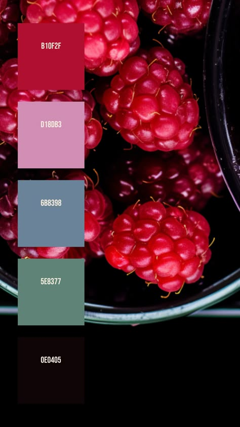 Colors:
B10F2F
D18DB3
6B8398
5E8377
0E0405 Raspberry Color Combinations, Transparent Packaging, Background Elements, Hex Color Palette, Color Schemes Colour Palettes, Subtle Highlights, Branding Resources, Raspberry Color, Raspberry Red