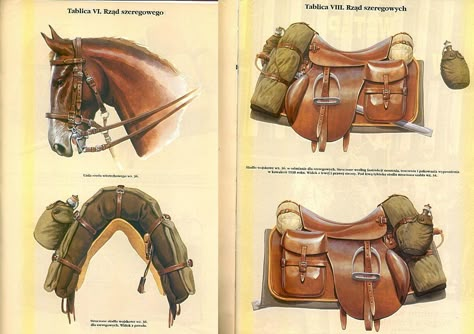 Horse Travel, Saddle Bags Horse, Pony Saddle, Horse Inspiration, Horse Equipment, Horse Gear, Horse Aesthetic, Most Beautiful Animals, Western Saddle